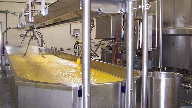 Cheese Plant Image